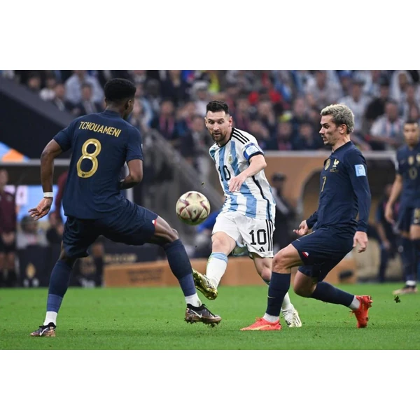 赛事百科,随时查阅